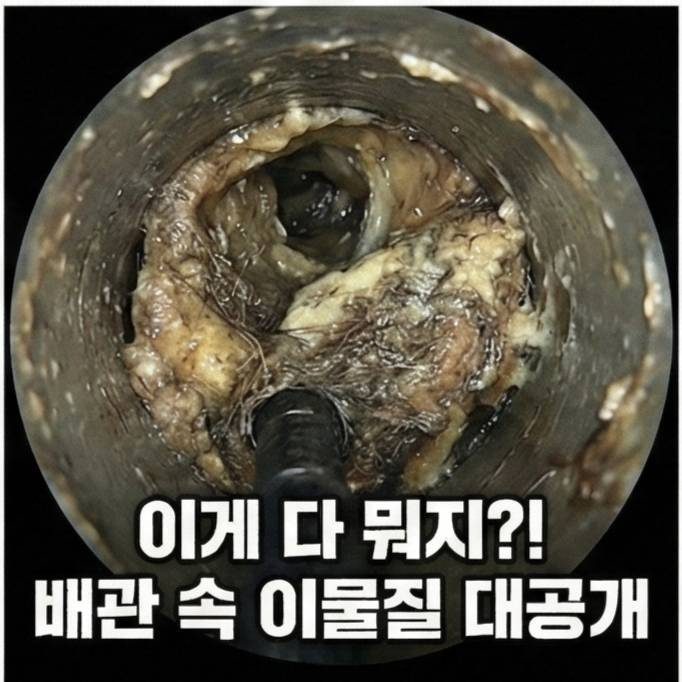관악구중앙동신림시장역류방지